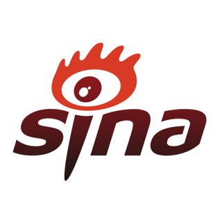 赛隆退:关于公司高级管理人员辞职的公告